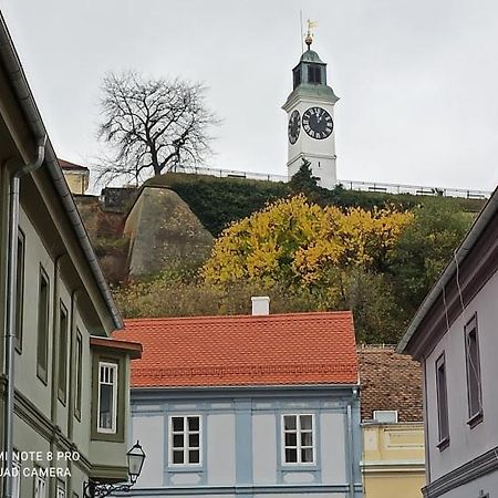 Zlatica Petrovaradin Exterior foto