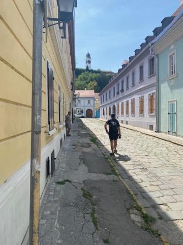Zlatica Petrovaradin Exterior foto